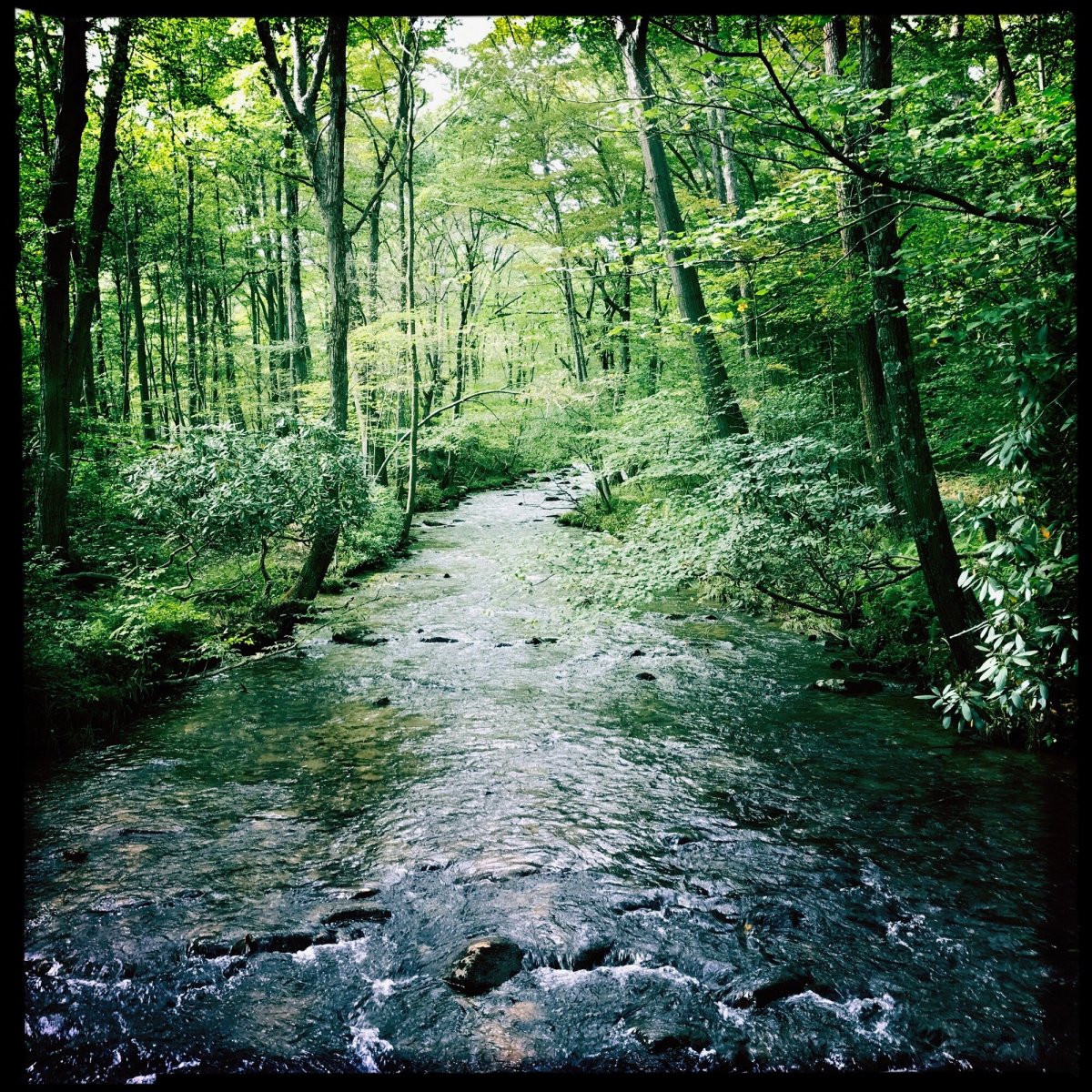 Just Rustic Enough&nbsp;2025